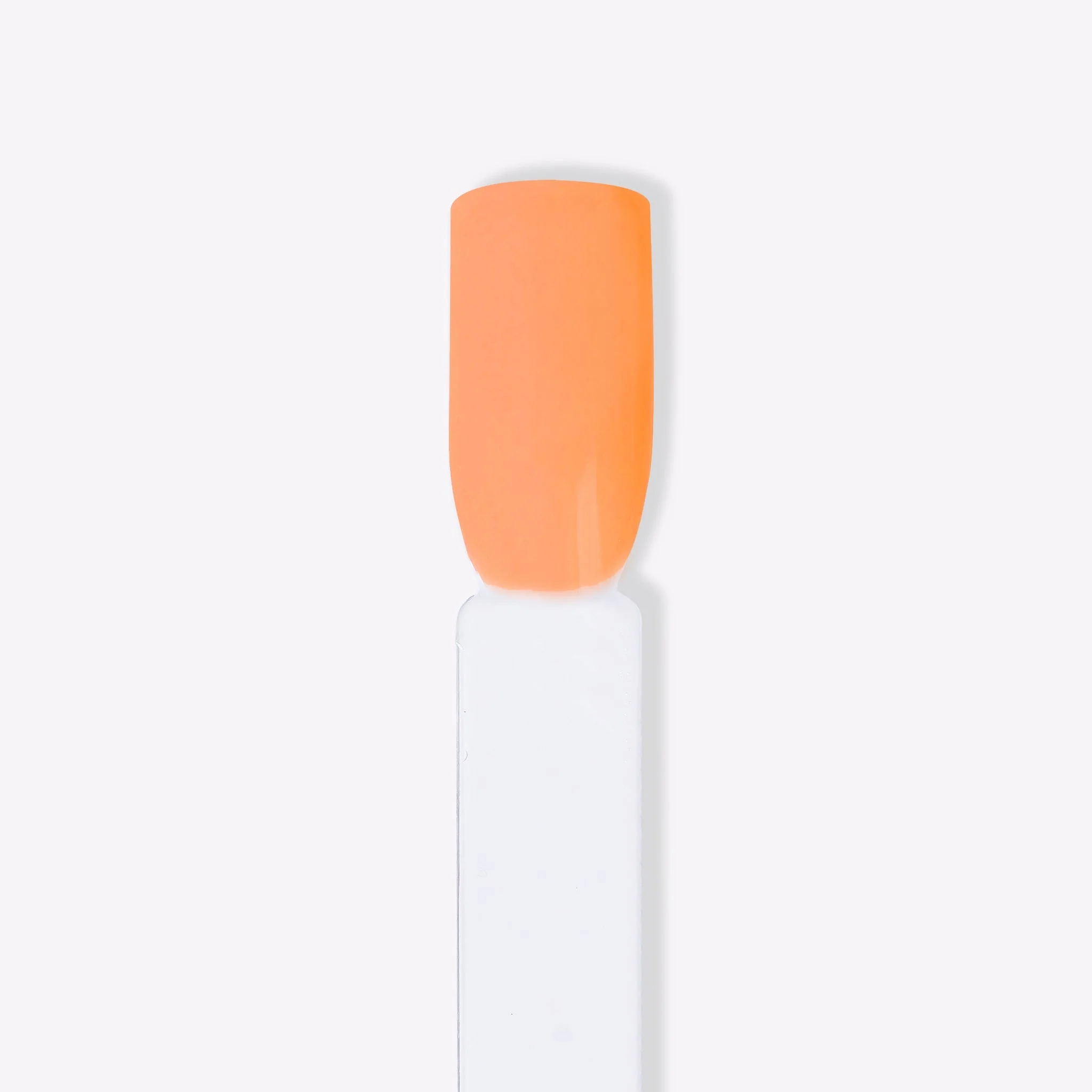 Pumpkin Spice - Image 4