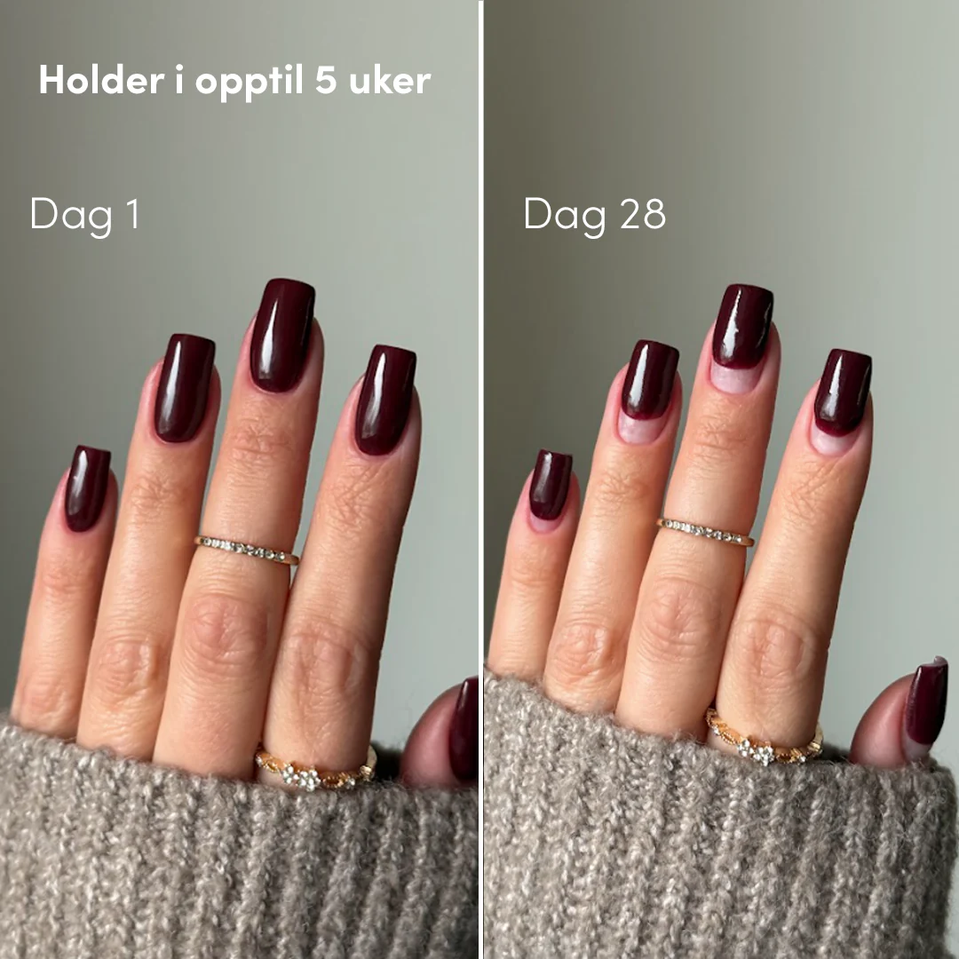 Salongsperfekt Kit - Image 9