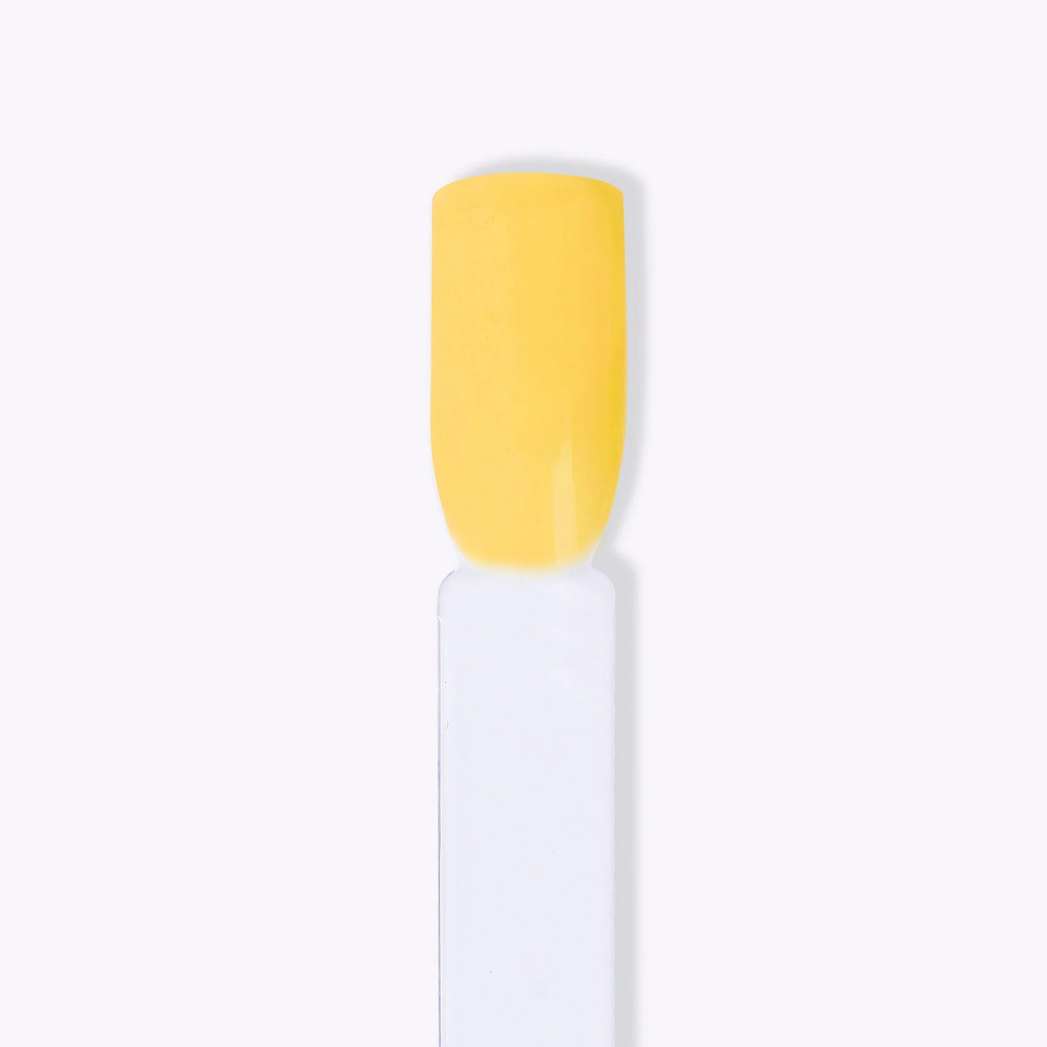 Sunflower - Image 4